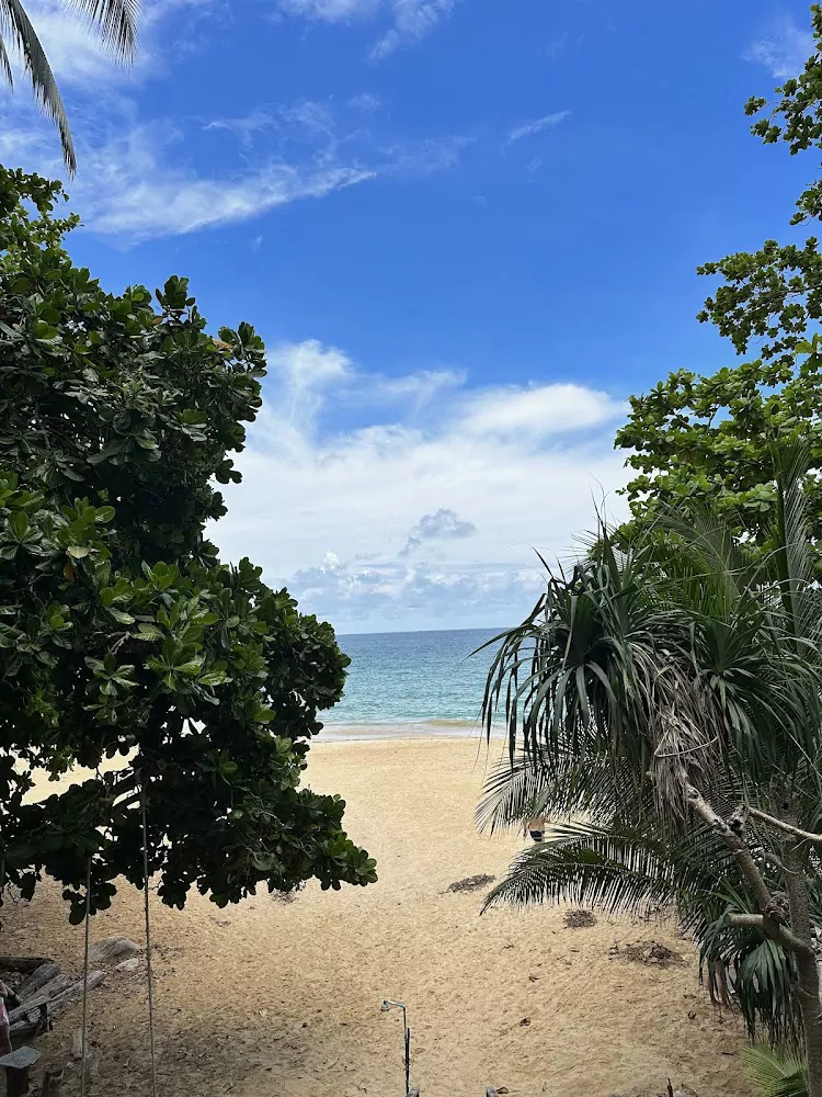 YwexeKygcNhyX64SVuPxouhdKKg4KGKG