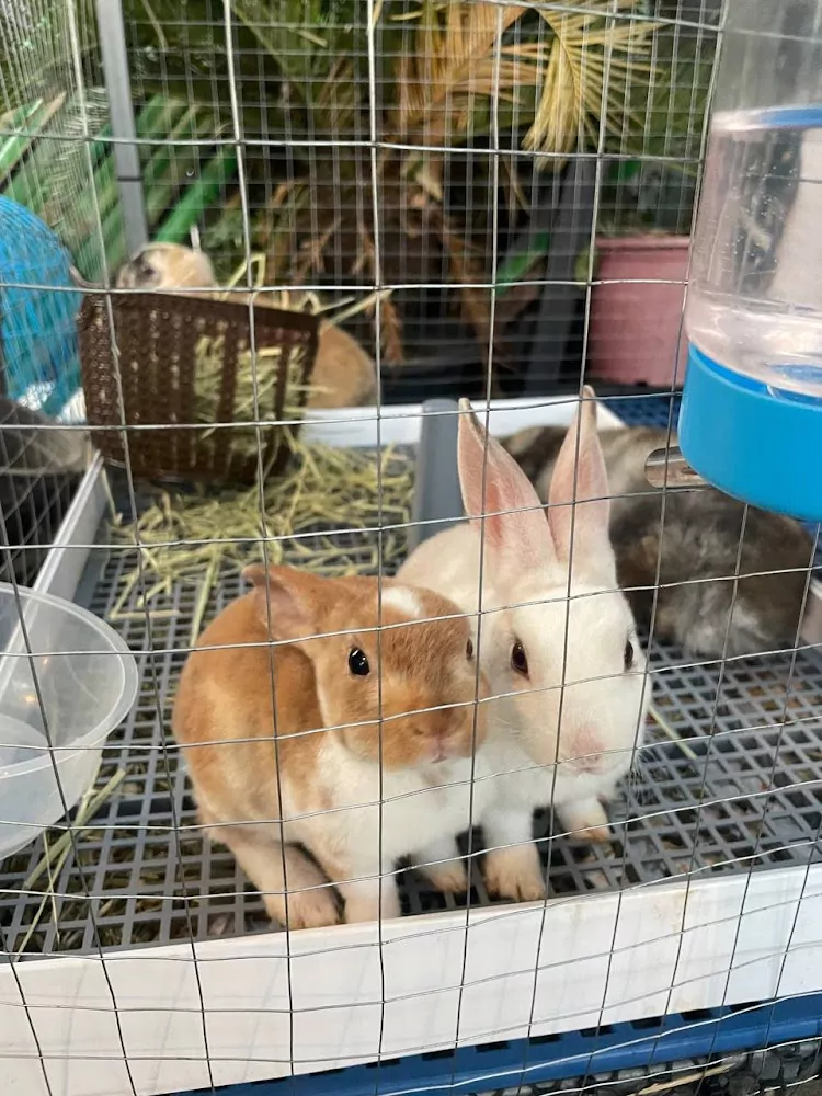 Най Харн, Mahasamutr Seaview Sunset Bar & Restaurant маршрут