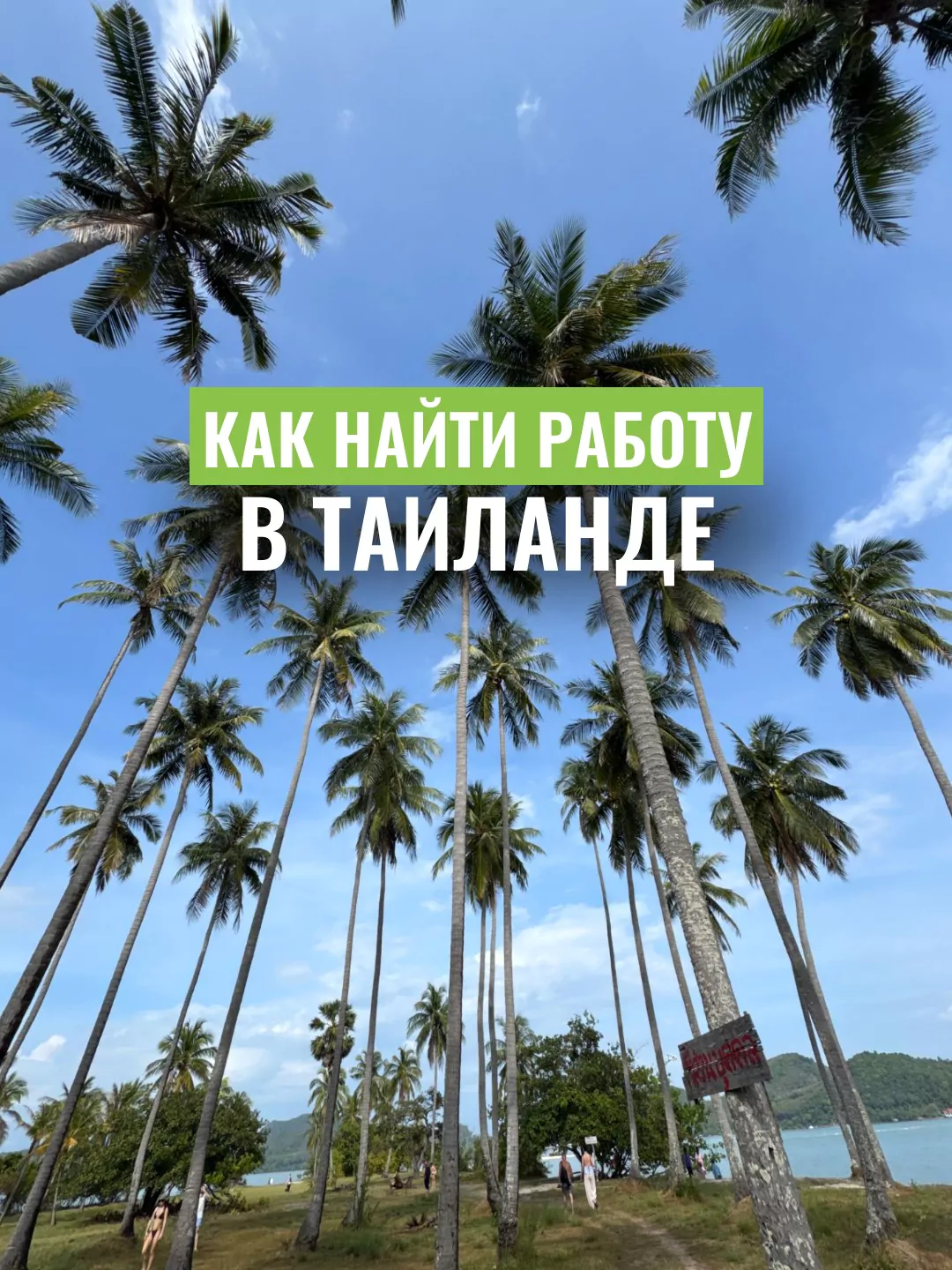 AU9EMuo-yExQ3XfkmPkRk86YF7DnUwPN