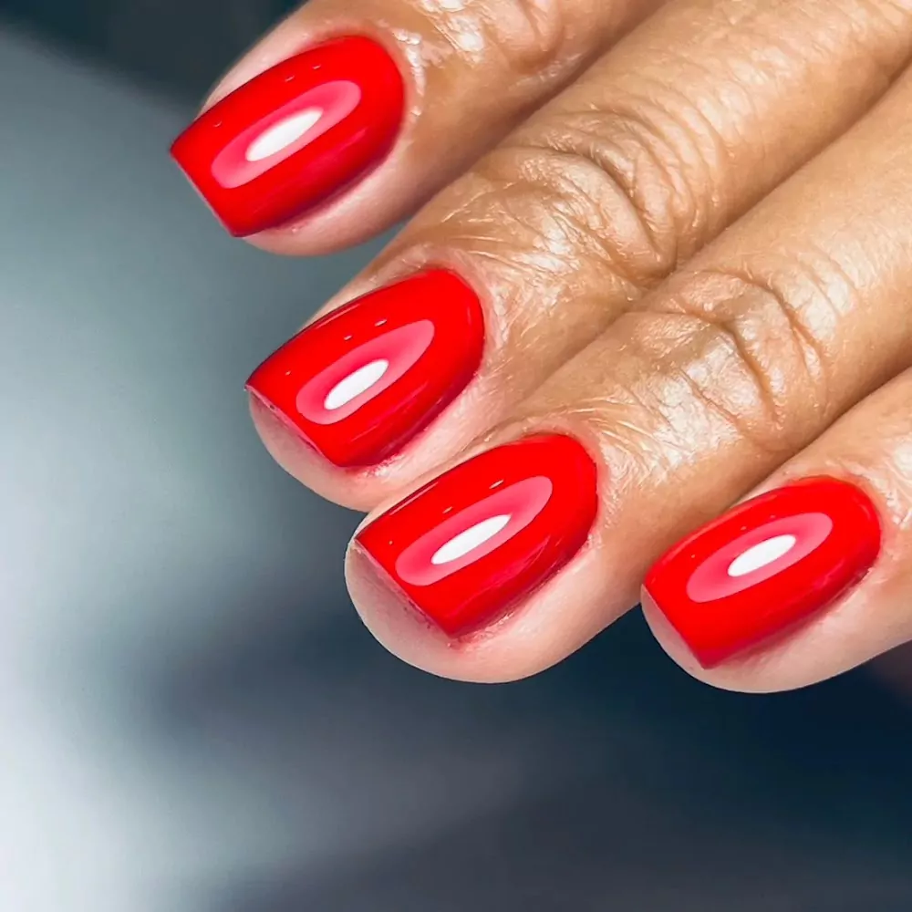 NAII8Nof50HxOzTcm911CwE655AcvX2D