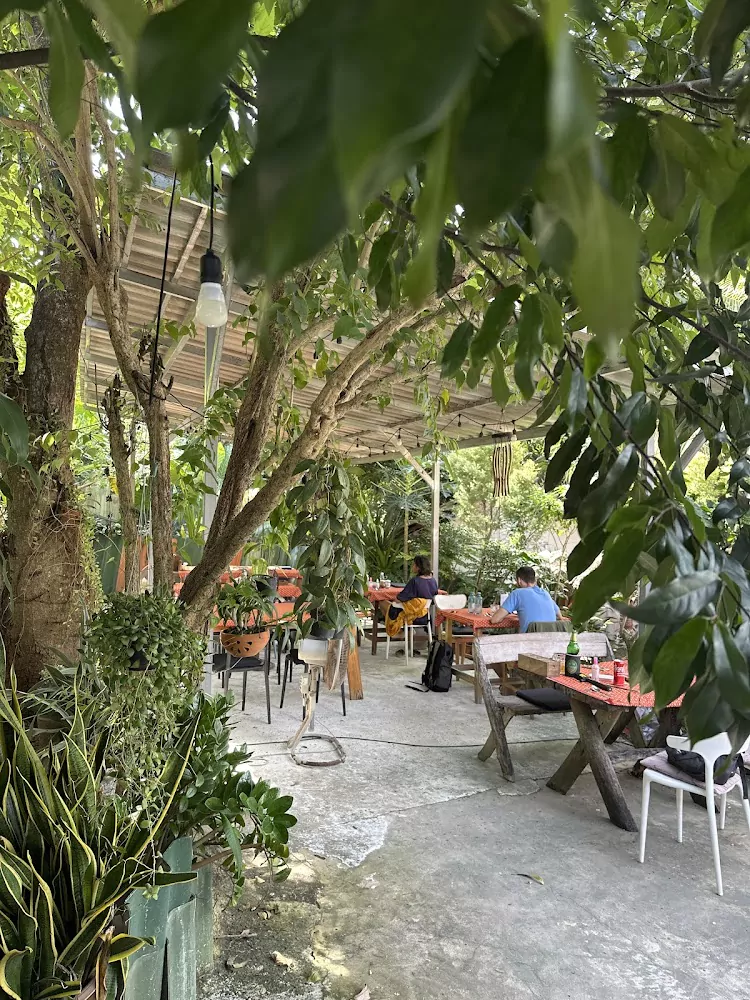 uxBnB15lFc2qToSrqVsJ3sNpVPFAeu3u