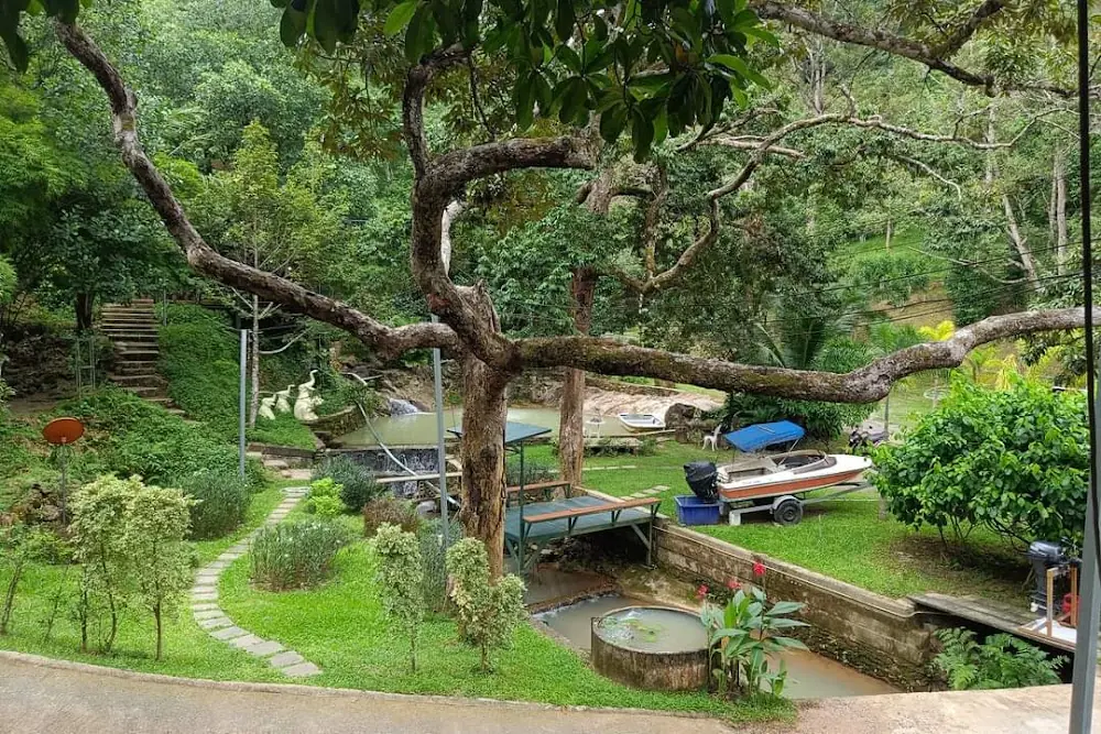 Кату, Khiang Kao Forest & Cafe добраться самостоятельно