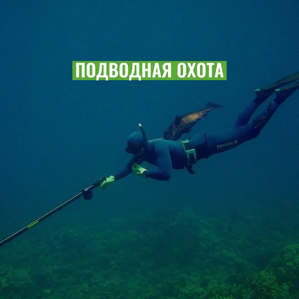 TKqHG8jzdcZo_zp4qBeOdWcBtWpZsrTU