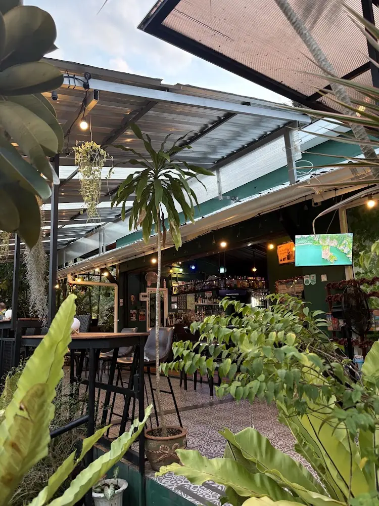 Rassada, Green Bar and Restaurant Phuket find